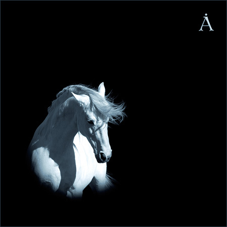 Аквариум - Лошадь белая